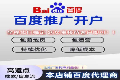 百度广告竞价之成功案例：某行业领军企业的崛起之路